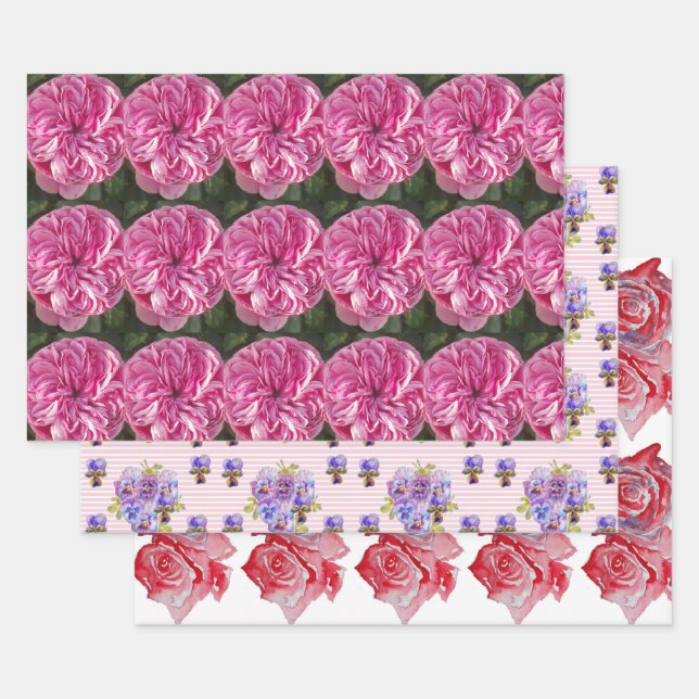 Feuille De Papier Cadeau Rose Rose Rose Rose Rose fleur Aquarelle Peinture  (Lot)