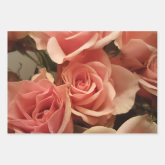 Feuille De Papier Cadeau Roses roses