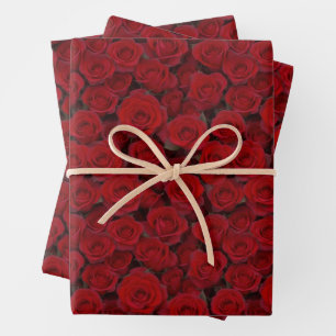 Feuille De Papier Cadeau Roses rouges brillantes