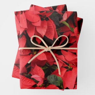 Feuille De Papier Cadeau Rouge Poinsettias II Noël Fête Florale