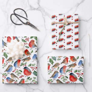Feuille De Papier Cadeau Rouge Rétro Robin Blanc Noël Aquarelle de Fruits