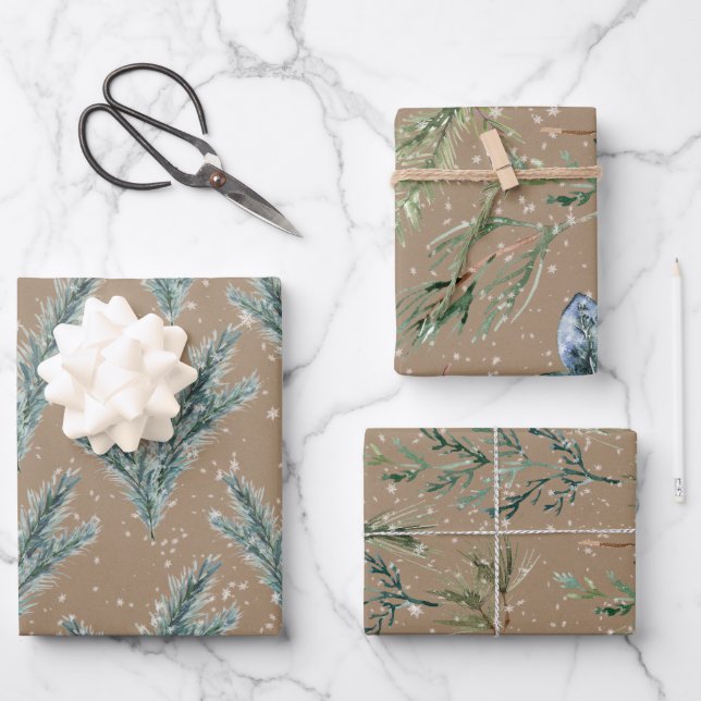Feuille De Papier Cadeau Rustique Kraft Silver Blue Spruce Winter Greenery (Recto)