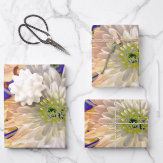 Feuille De Papier Cadeau Sac cadeau