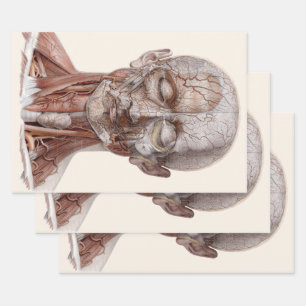 Feuille De Papier Cadeau Science de l'anatomie humaine vintage, tête gorge 