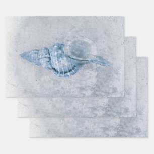 Feuille De Papier Cadeau Sea Shell Blue Antique Vintage Ocean Beach Texture