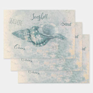 Feuille De Papier Cadeau Sea Shell Turquoise Beige Vintage Ocean Beach Scri
