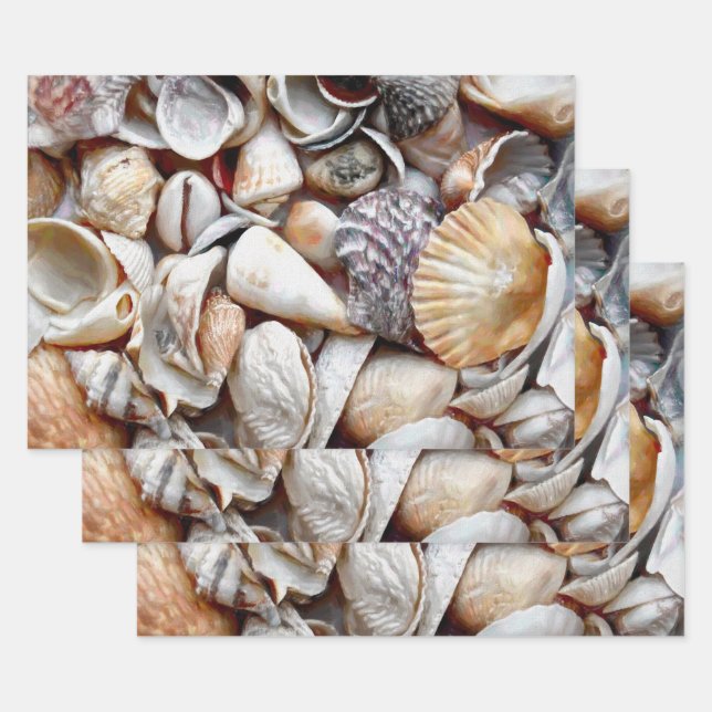 Feuille De Papier Cadeau Sea Shells Ocean Beach Belle Découpage (Lot)