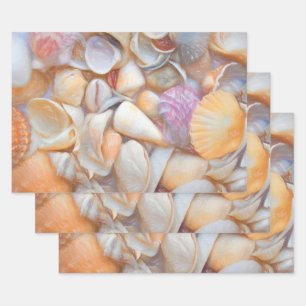 Feuille De Papier Cadeau Sea Shells Ocean Beach Découpage Art Design
