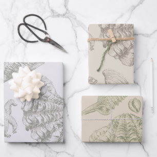 Feuille De Papier Cadeau Seashell Soft Antique Art Beach Shops