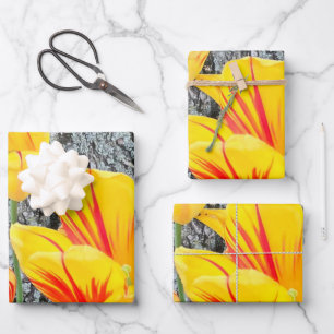 Feuille De Papier Cadeau Séquence de trois tulipes jaunes /