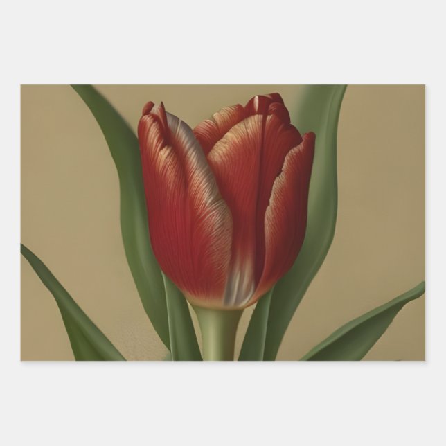 Feuille De Papier Cadeau Shabby Chic Jolie Tulipe Rouge (Devant)