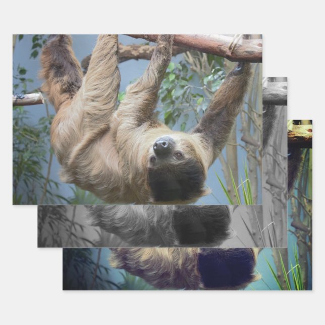 Feuille De Papier Cadeau Sloth (Lot)