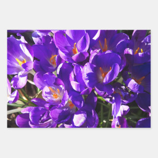 FEUILLE DE PAPIER CADEAU SPRING CROCUS