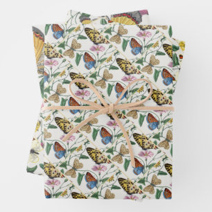 Feuille De Papier Cadeau Study of Diurnal butterflies by Paul Gervais