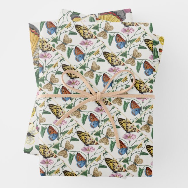 Feuille De Papier Cadeau Study of Diurnal butterflies by Paul Gervais (En situation)