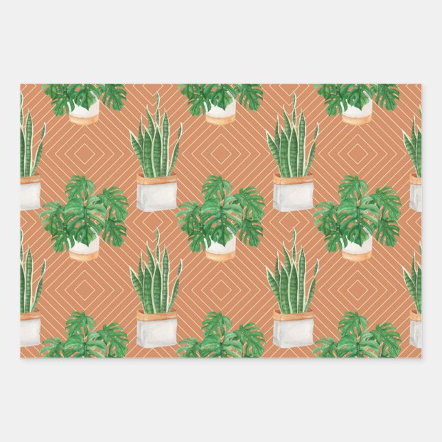 Feuille De Papier Cadeau Succulent (Devant)