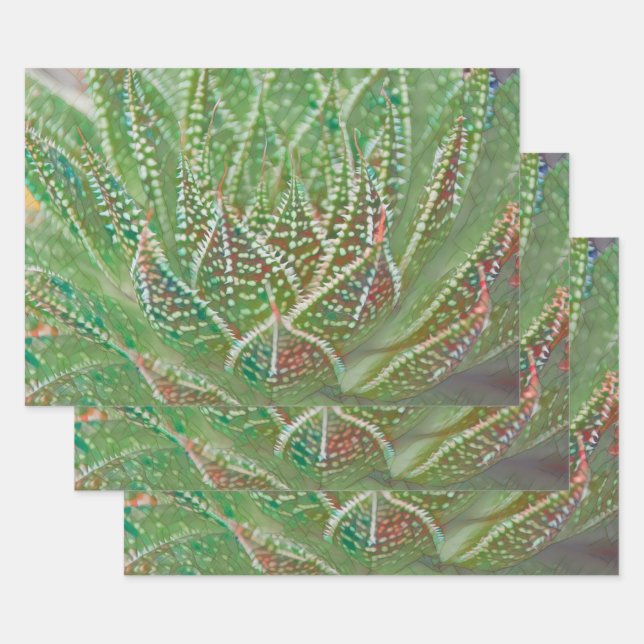 Feuille De Papier Cadeau Succulent Cactus Plante Verte Vitrail Art (Lot)