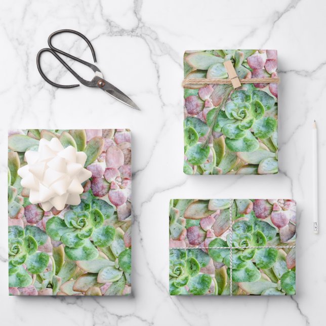 Feuille De Papier Cadeau Succulent coloré (Recto)