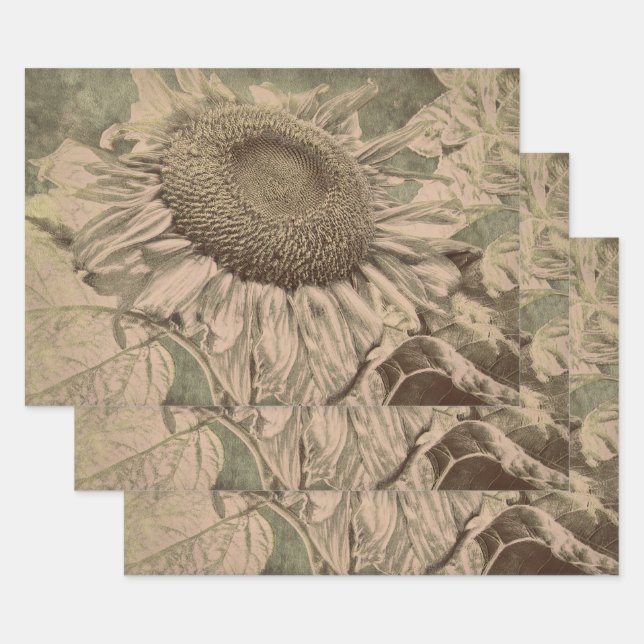 Feuille De Papier Cadeau Sunflower Sepia Tone Brown Art Texture Decoupage (Lot)