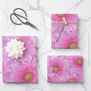 Feuille De Papier Cadeau Symphonie de Gerberas roses,