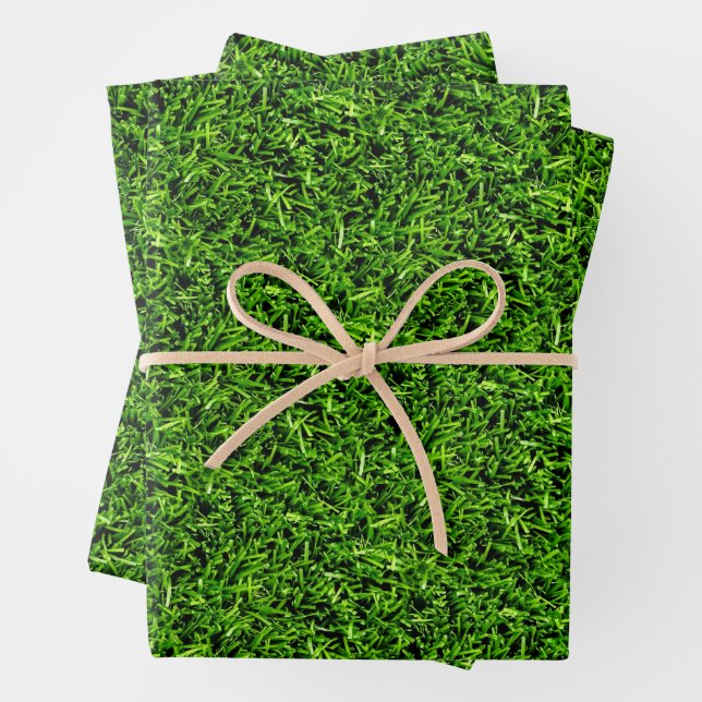 Feuille De Papier Cadeau Texture réaliste de l'herbe photo Funny vert brill (En situation)