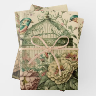 Feuille De Papier Cadeau Tiroirs de découpage vintages volière et oiseaux