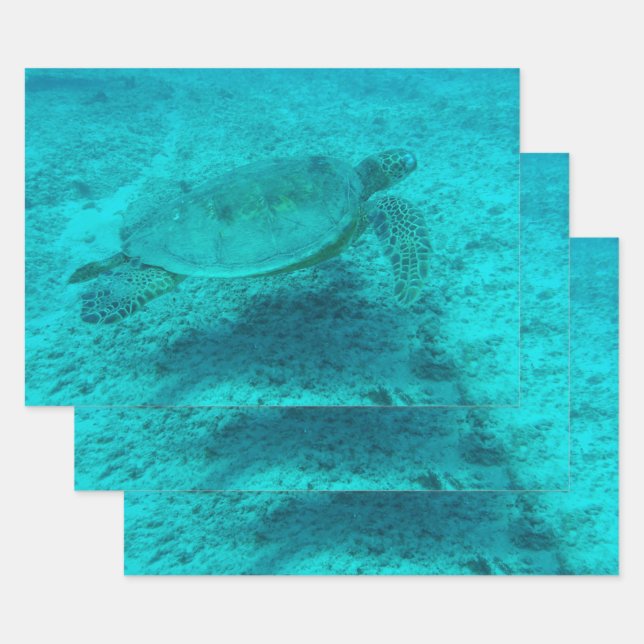 Feuille De Papier Cadeau Tortue verte hawaïenne (Lot)