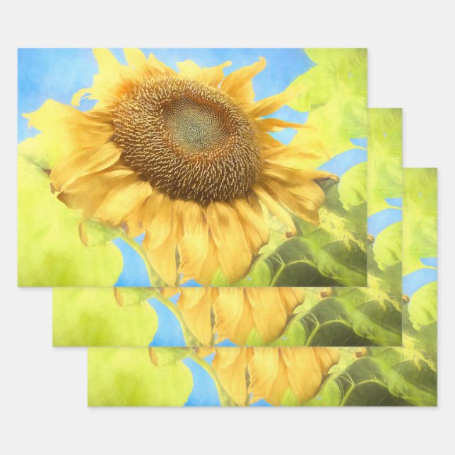 Feuille De Papier Cadeau Tournesol-Pays Aquarelle jaune rustique (Lot)