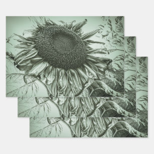 Feuille De Papier Cadeau Tournesol vert pâle Art antique Vintage