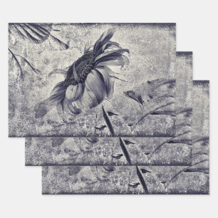 Feuille De Papier Cadeau Tournesol Vintage Black Et Blanc Texture Antique