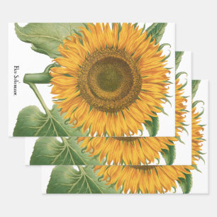 Feuille De Papier Cadeau Tournesol vintage par Basilius Besler