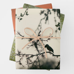 Feuille De Papier Cadeau Tropical Birds