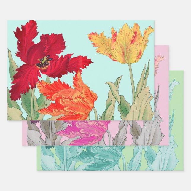 Feuille De Papier Cadeau Tulide perroquet, Floral (Lot)