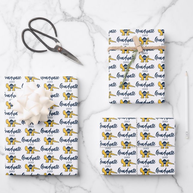 Feuille De Papier Cadeau UC Irvine | Anteaters UCI (Recto)