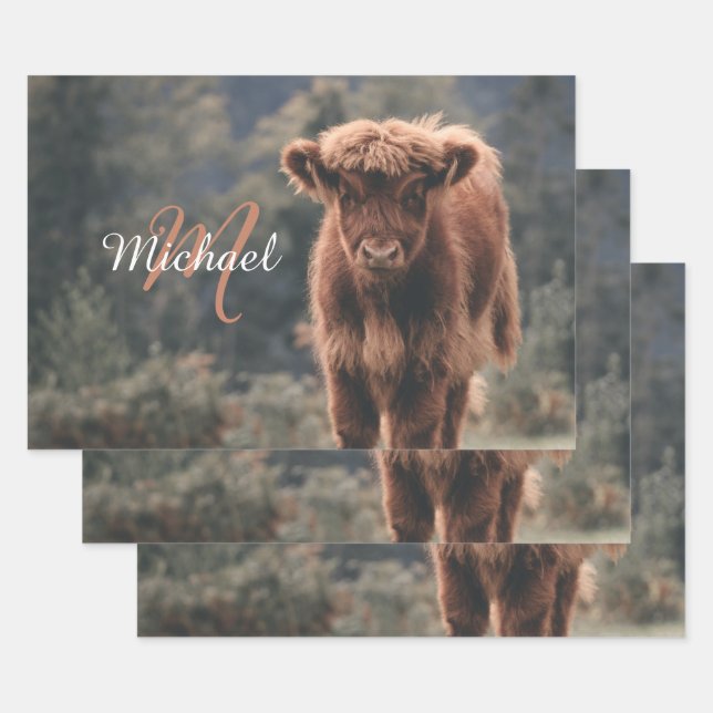 Feuille De Papier Cadeau Vache de Highland calvaire herbe d'automne monogra (Lot)