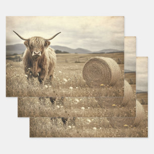 Feuille De Papier Cadeau Vache de Highland dans un champ de foin Découpage