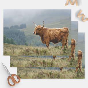 Feuille De Papier Cadeau Vache des Highlands Matin Brumeux Découpage