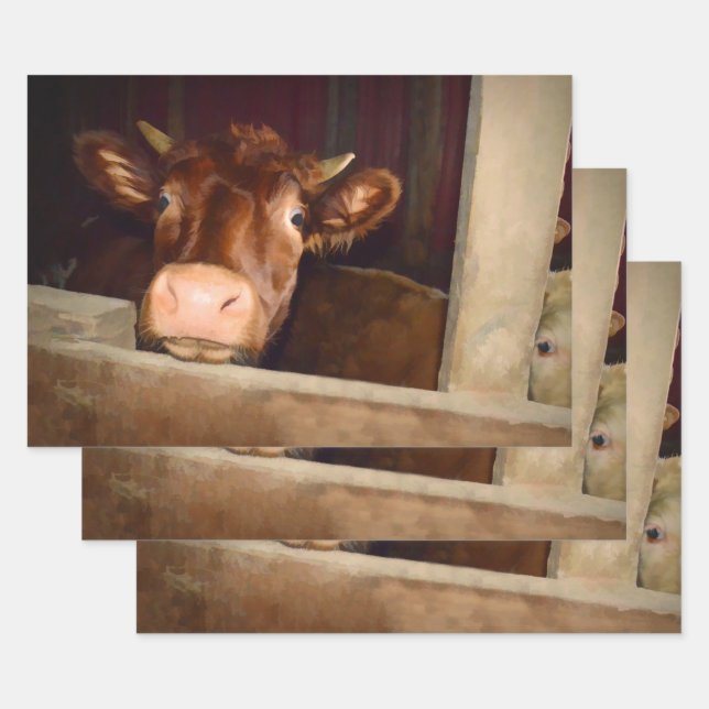 Feuille De Papier Cadeau Vache Russe Pays Brown Barn Funny Farm (Lot)