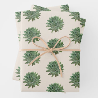Feuille De Papier Cadeau Vert Succulent Désert Botanique