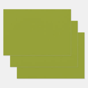 Feuille De Papier Cadeau Vert tendance (couleur unie)