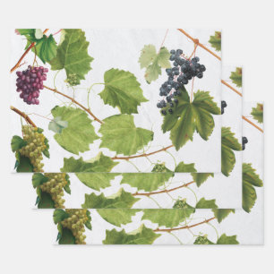 Feuille De Papier Cadeau Vignoble de raisins Ile grecque méditerranéenne