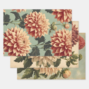 Feuille De Papier Cadeau Vintage classique rose blanc Dahlias Botanique