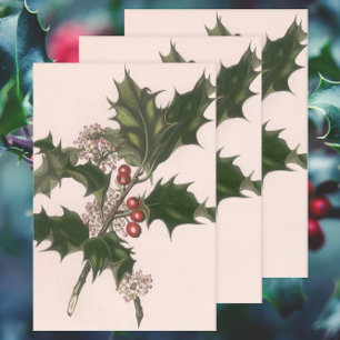 Feuille De Papier Cadeau Vintage Noël, Holly Plante avec les baies rouges