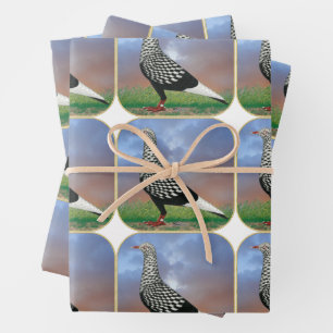 Feuille De Papier Cadeau Vol Pigeon et nuages