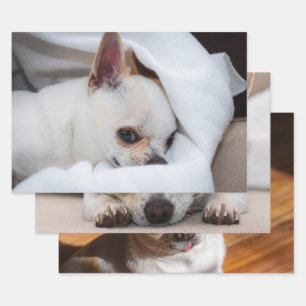 Feuille De Papier Cadeau Votre chiot chien de compagnie coutume 3 photo chi