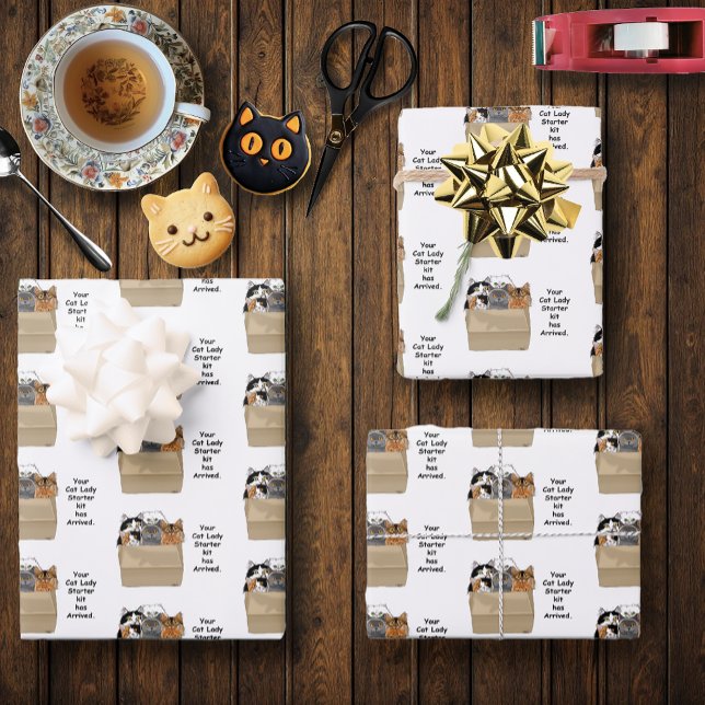 Feuille De Papier Cadeau Votre trousse d'entrée Lady Cat (Créateur téléchargé)