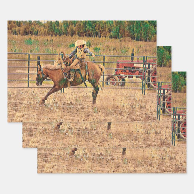 Feuille De Papier Cadeau Western Cowboy Country Horse Équitation (Lot)