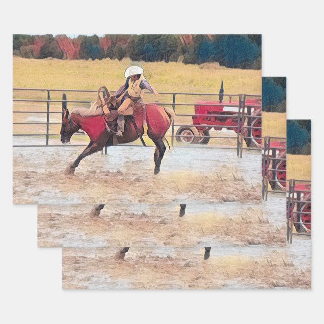 Feuille De Papier Cadeau Western Rodeo Country Horse Art (Lot)