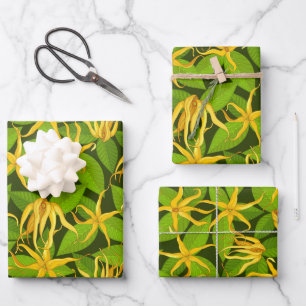 Feuille De Papier Cadeau Ylang Ylang Fleurs Parfumées Exotiques