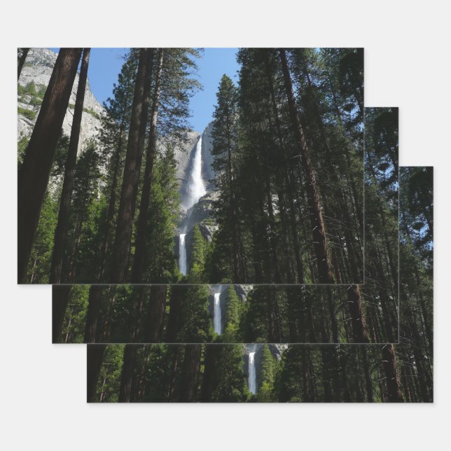 Feuille De Papier Cadeau Yosemite Falls et Woods Paysage Photographie (Lot)